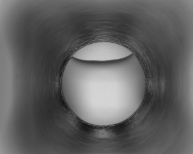 X0000088480561200705221003