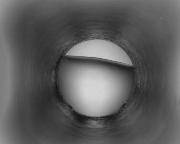 X0000088480563200705221003