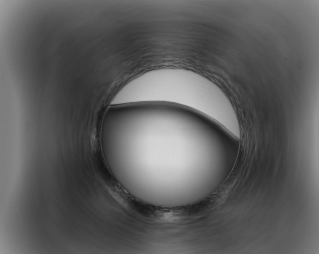 X0000088480564200705221003