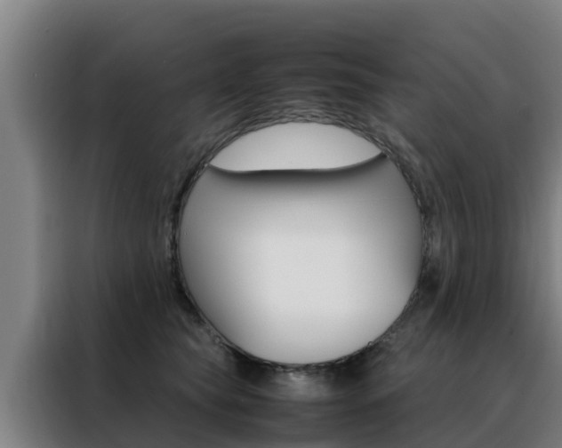 X0000088480565200705221003