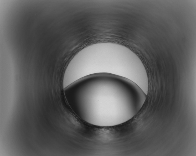 X0000088480566200705221003