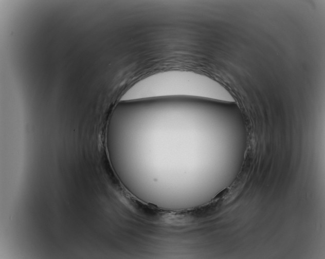 X0000088480568200705221003
