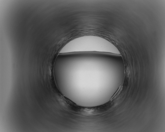 X0000088480570200705221003