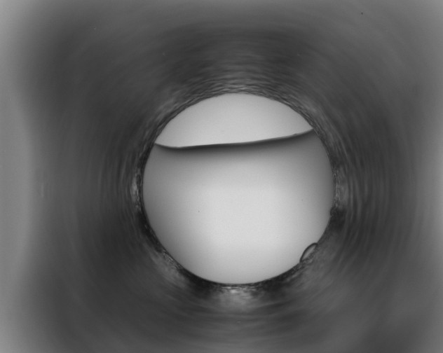 X0000088480573200705221003