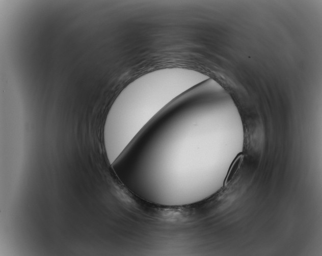 X0000088480574200705221003