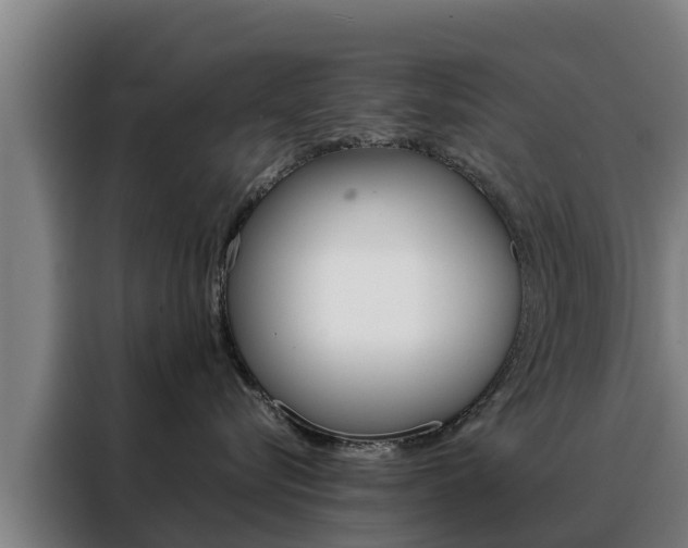 X0000088480576200705221003