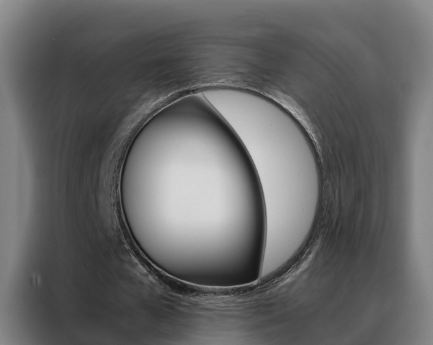 X0000088480577200705221003