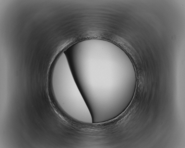 X0000088480578200705221003