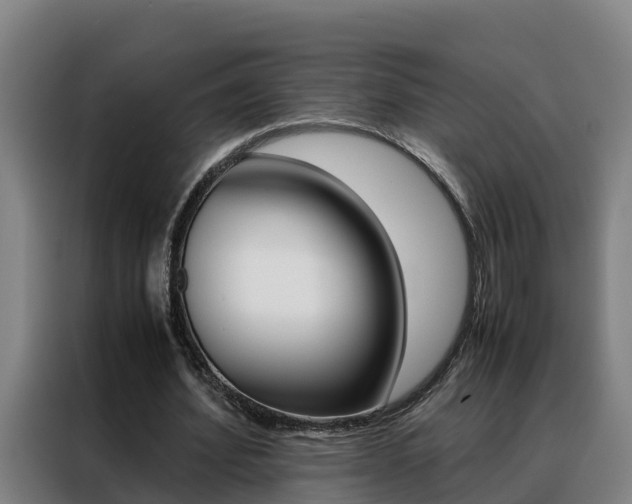 X0000088480580200705221003