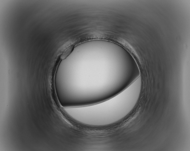 X0000088480581200705221003