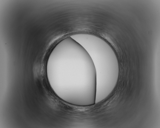 X0000088480583200705221003