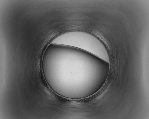 X0000088480585200705221003