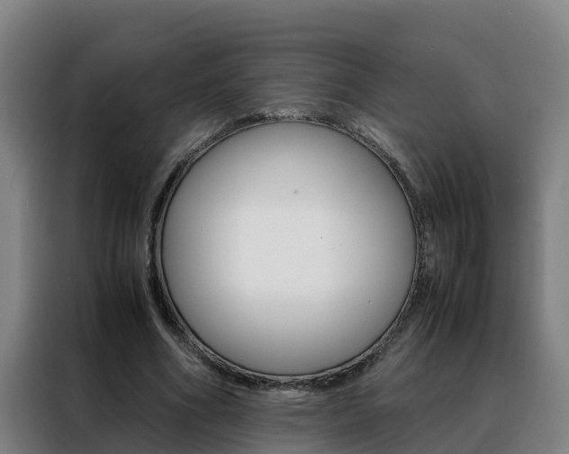 X0000088480586200705221003
