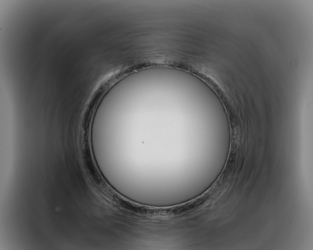 X0000088480587200705221003