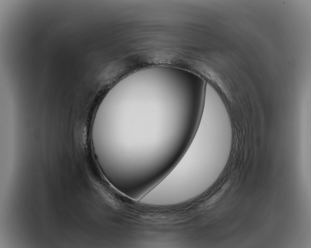 X0000088480589200705221003