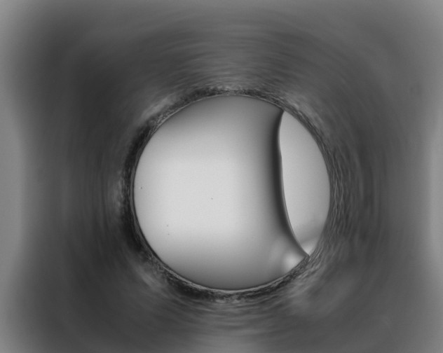X0000088480591200705221003