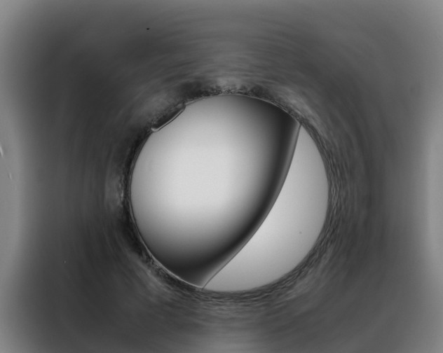 X0000088480593200705221002