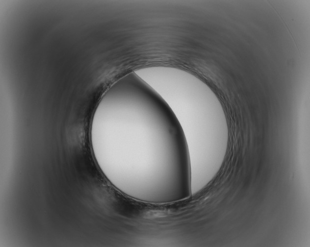 X0000088480595200705221002