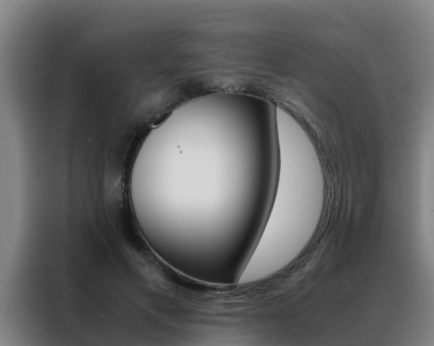 X0000088480597200705221002