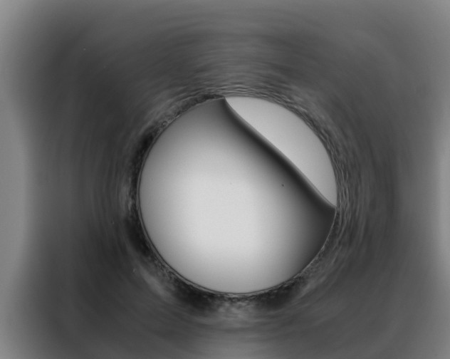 X0000088480599200705221002