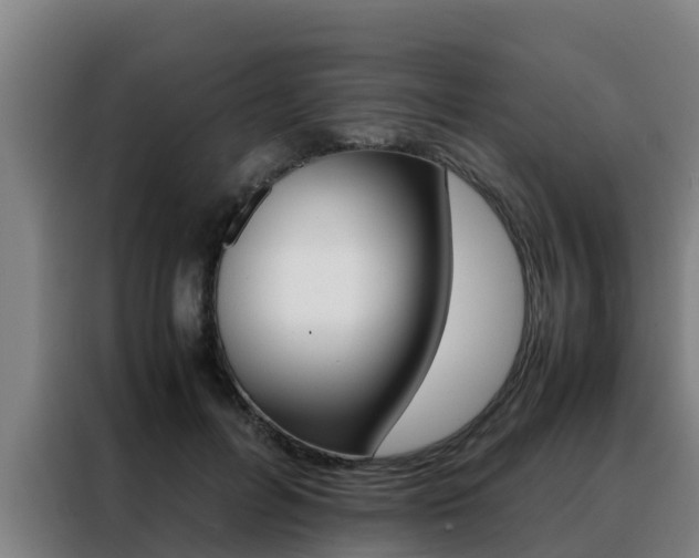 X0000088480600200705221002