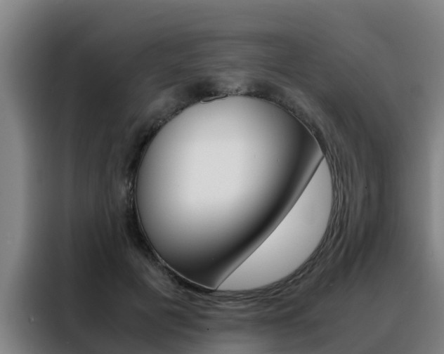 X0000088480601200705221002