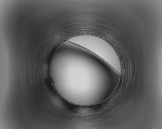 X0000088480605200705221002