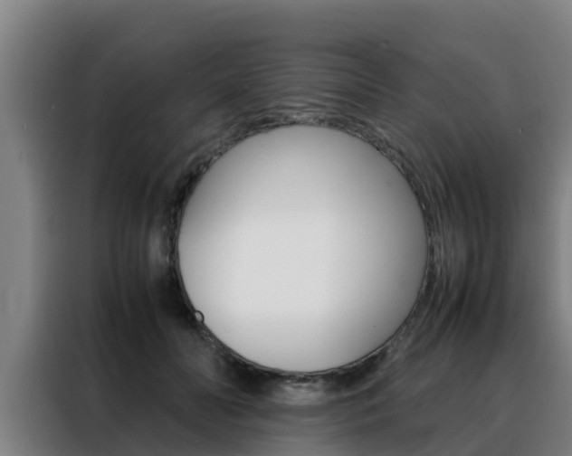 X0000088480606200705221002