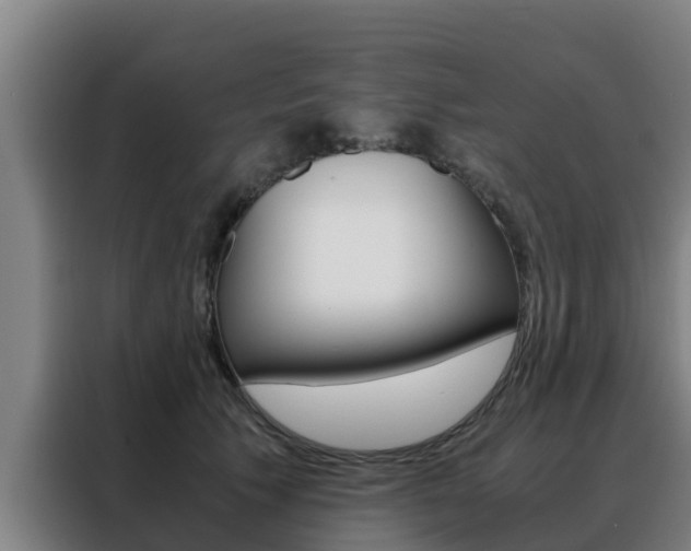 X0000088480609200705221002