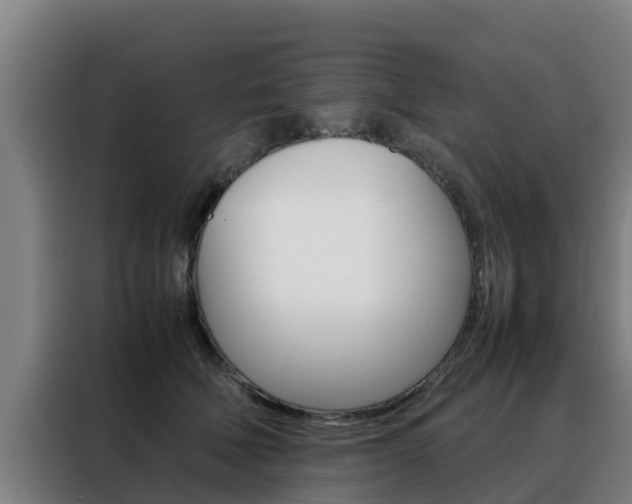 X0000088480610200705221002