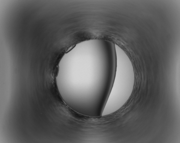 X0000088480613200705221002