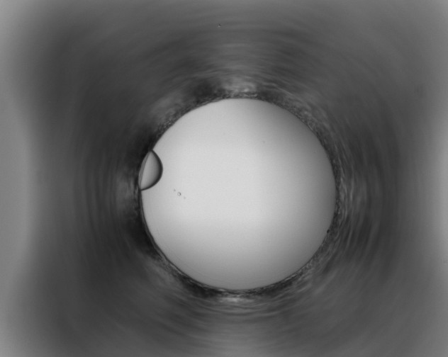 X0000088480614200705221002