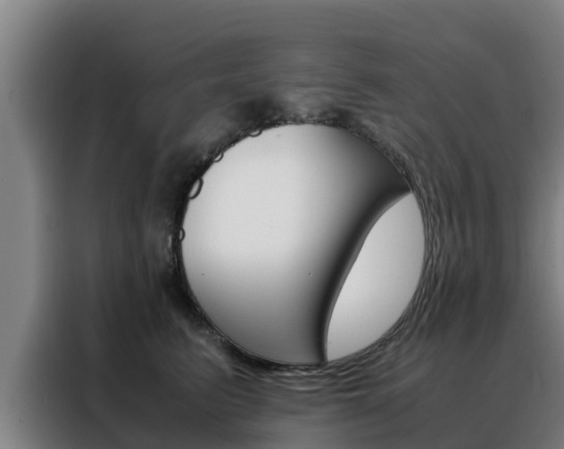 X0000088480615200705221002