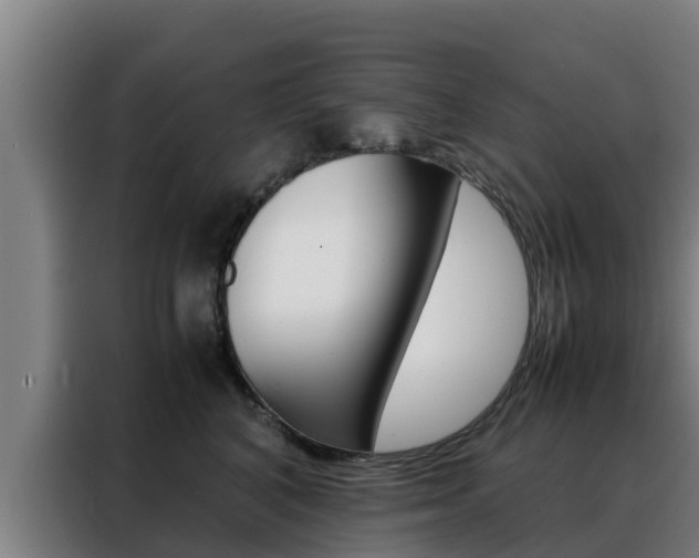 X0000088480616200705221002
