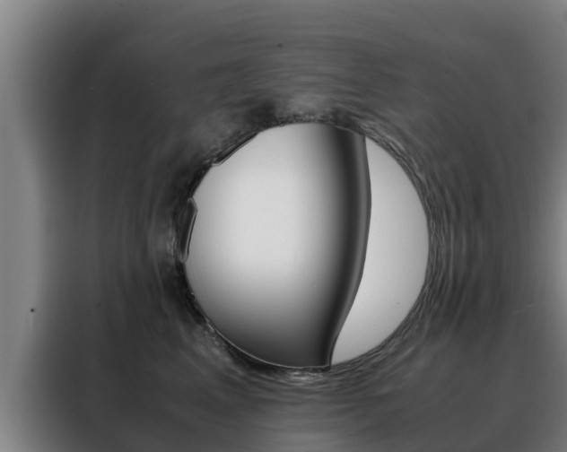 X0000088480617200705221002