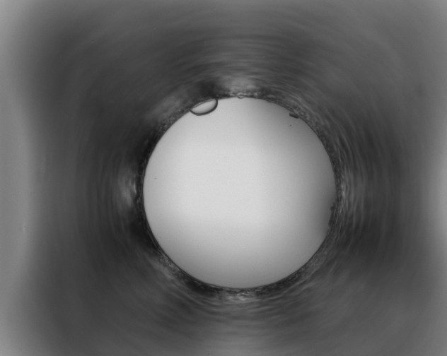 X0000088480618200705221002