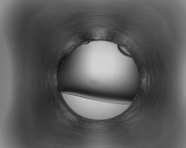 X0000088480620200705221002