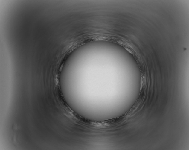 X0000088480621200705221002
