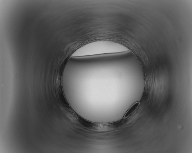 X0000088480623200705221002