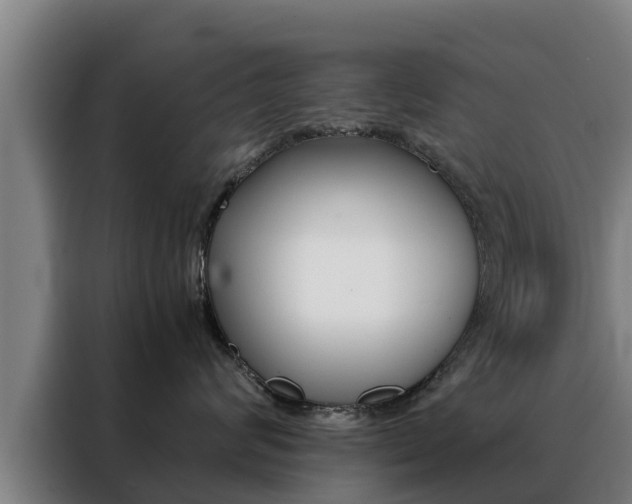 X0000088480624200705221002