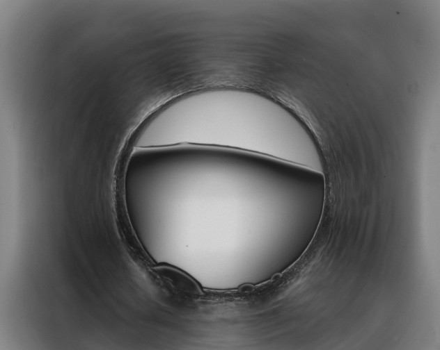 X0000088480626200705221001