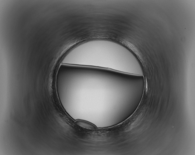 X0000088480627200705221001