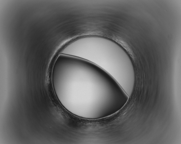 X0000088480628200705221001