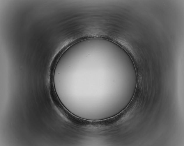 X0000088480630200705221001
