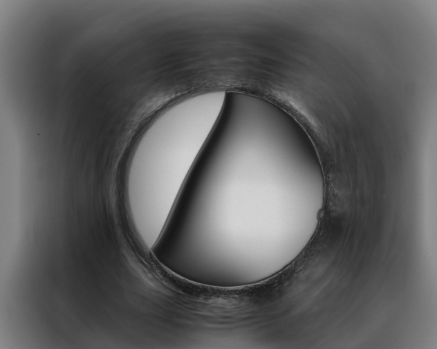 X0000088480631200705221001