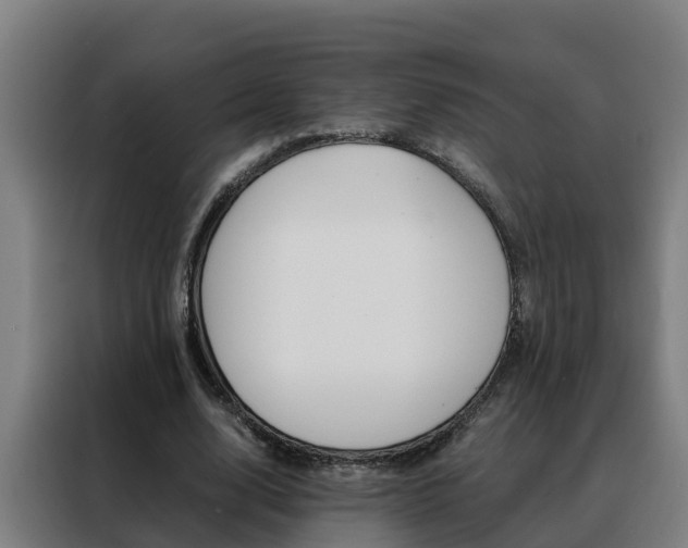 X0000088480632200705221001