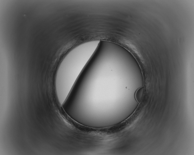 X0000088480633200705221001