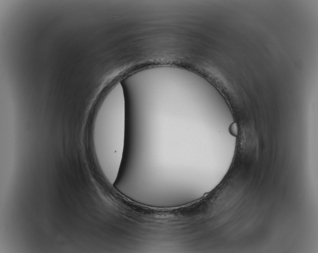 X0000088480636200705221001
