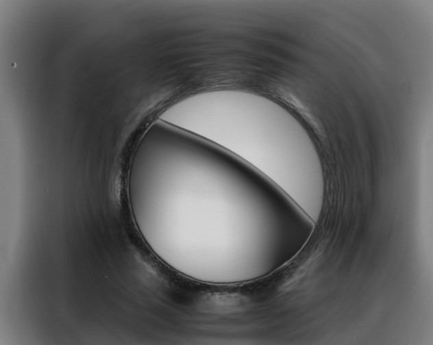 X0000088480637200705221001
