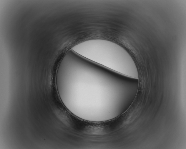 X0000088480639200705221001